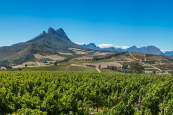 Beautiful landscape of Cape Winelands, wine growing region in South Africa